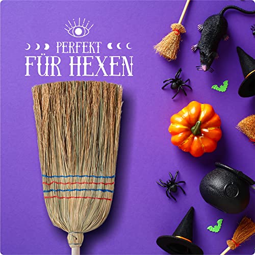 KADAX Reisstrohbesen, Reisigbesen, Besen mit langem Stiel aus Holz, funktionaler Strohbesen, Besen aus Sorgogras, Hexenbesen, Hofbesen aus Reisstroh (L: 140 cm)