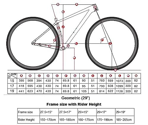 ICE MT10 Mountainbike, Rahmen aus Carbonfaser, 29 Zoll, 12 V, Farbe: Schwarz (19 Zoll)