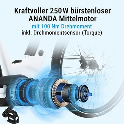 AsVIVA E-Bike B14 Stadtfalter 28 Zoll Citybike - Hollandrad für Damen & Herren | Elektrofahrrad Pedelec 25km/h | Tiefeinsteiger | 250W Motor - 36V 17.5 Ah mit bis zu 150 km Reichweite