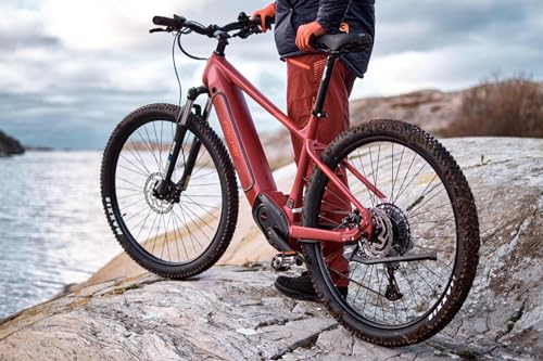 Fischer E-Mountainbike MONTIS 7.0i, Elektrofahrrad für Damen und Herren, Mittelmotor 70 Nm, 36 V Akku