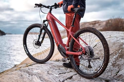 Fischer E-Mountainbike MONTIS 7.0i, Elektrofahrrad für Damen und Herren, Mittelmotor 70 Nm, 36 V Akku