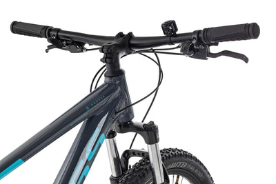 Axess Sandee Mountainbike | MTB-Hardtail | 14-Gang Schaltung | Mechanische Scheibenbremsen, Farbe:Grey, Rahmengröße:21 Zoll, Laufradgröße:29 Zoll
