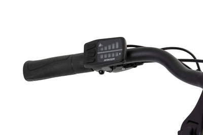 F.lli Schiano E-Moon, E Bike für die Stadt 28 Zoll, 36V 13Ah Abnehmbarer Akku, Motor 250W 40Nm, City Ebike für Herren, Grau