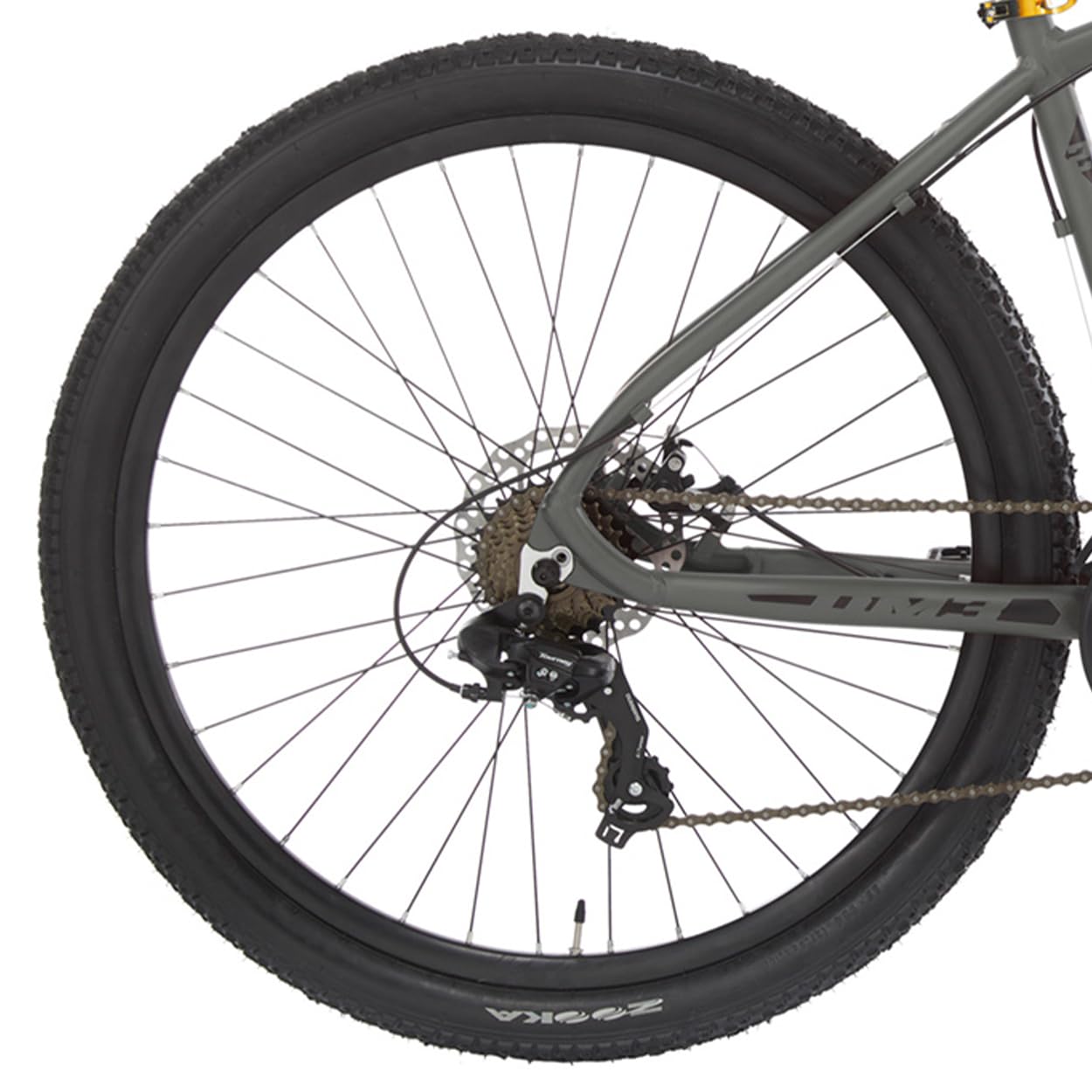 ALPINA Bike Moster, Mountainbike, 21 V, für Herren, Herren, anthrazit, 440 mm