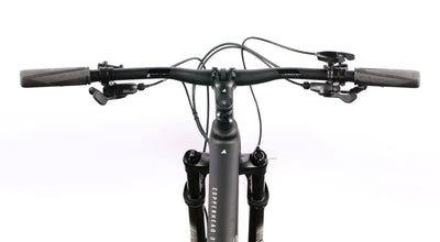 Bulls Copperhead 3 29'' grau Mountainbike Herren 2023 - Rahmengröße: 41 cm