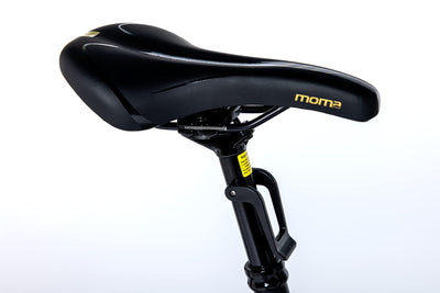 moma bikes Unisex-Adult EMTB 29" PRO Full SUSP. M-L Central Motor, Grey/Black