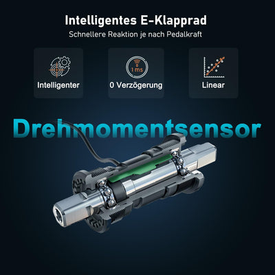 HANEVEAR H6-Light E Bike Klapprad, Elektrofahrräder mit Drehmomentsensor | 48V 14,5Ah Akku bis zu 120km+ | 55N.m 250W-Motor | 3.0'' Fat E-Bike, Off-Road Pedelec EBike Herren Damen (Grau Mit Frontkorb)