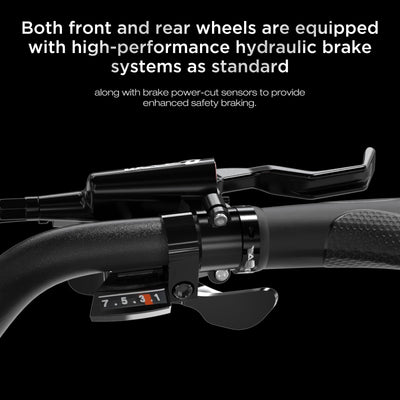 HITWAY E Bike BK10S PRO, 48V 720Wh-Li-Ionen-Akku 250W Elektrofahrrad, 70-120km Reichweite, 20" *4.0 Fat Reifen, APP-Steuerung,LCD-Display,7-Gang, IP54 wasserdicht Pedelec