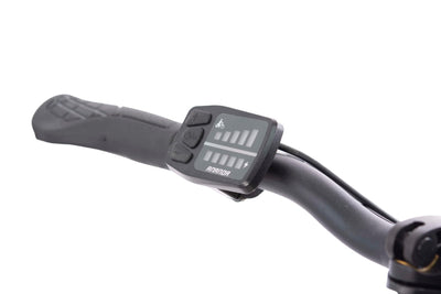 F.lli Schiano E-Sky, E Bike Klappbar 20 Zoll, 36V 7.8Ah Abnehmbarer Akku, Motor 250W 40Nm, Klapprad Ebike für Herren/Damen, Schwarz