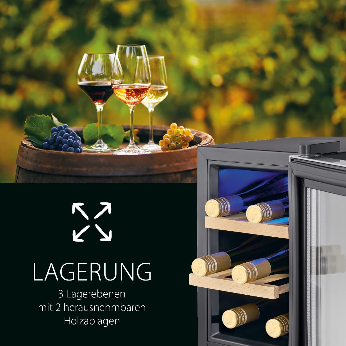 ProfiCook Weinkühlschrank | 6 Flaschen | Getränkekühlschrank | UV-beständige Glastür | Weinkühler | LED-Beleuchtung | 3 Lagerebenen - Davon 2 herausnehmbar | 11-18°C | PC-WK 1231