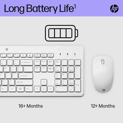 HP 230 kabellose Maus und Tastatur