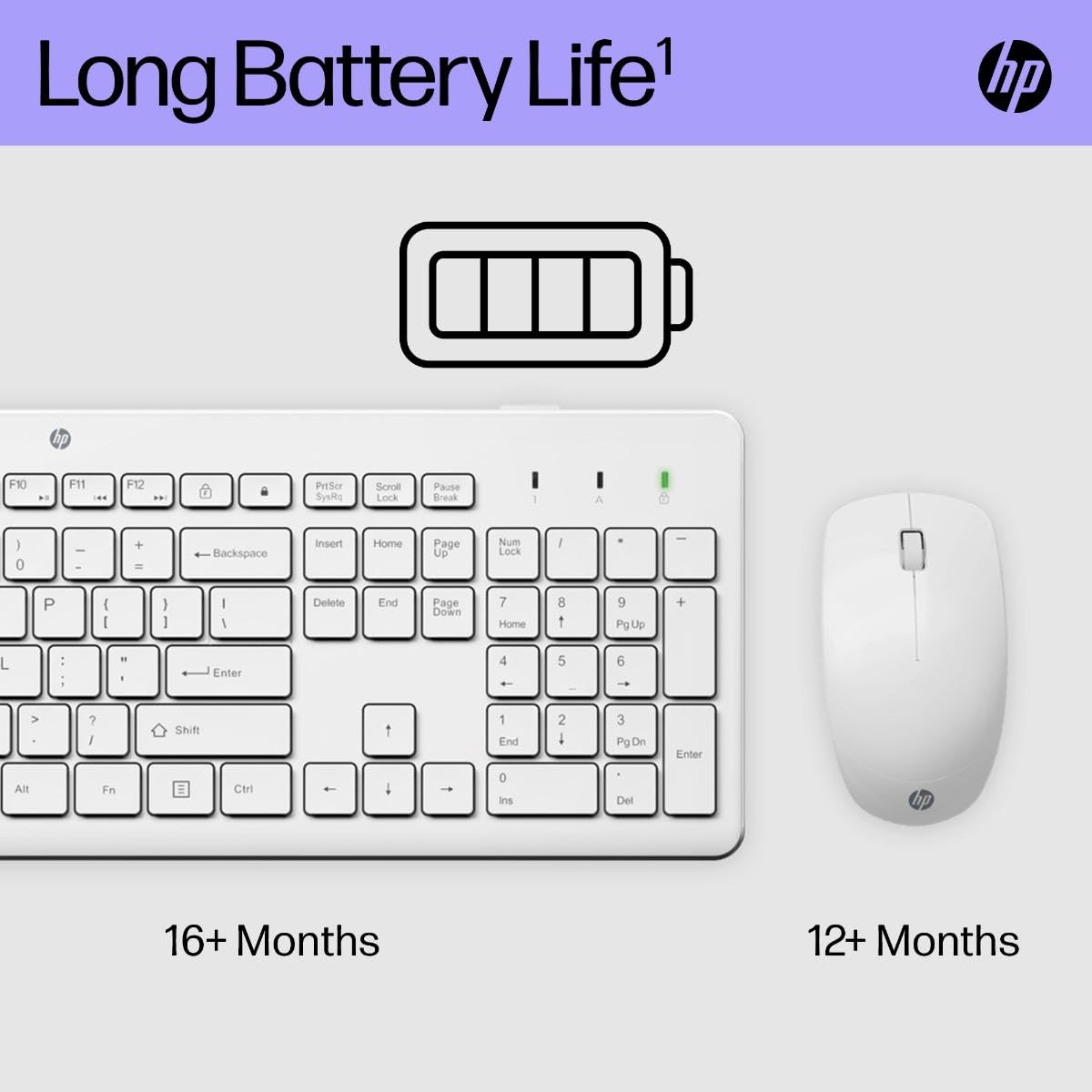 HP 230 kabellose Maus und Tastatur