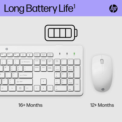 HP 230 kabellose Maus und Tastatur