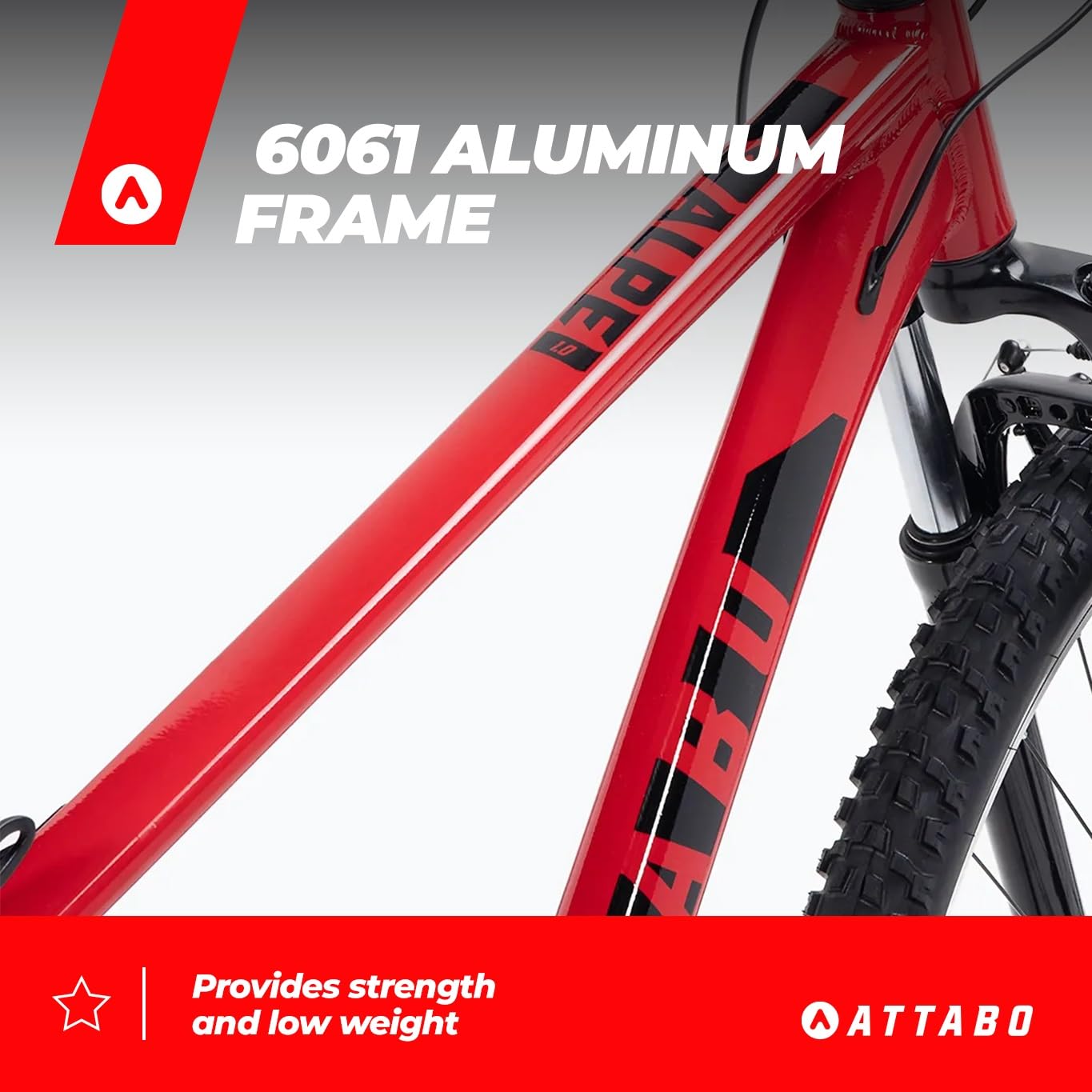 ATTABO Herren Fahrrad Alpe 1.0 mit Aluminiumrahmen 19" Ergonomischer Lenker V-Brake Rot Mountainbike mit 29" Rädern mit Zubehör Verstellbarer Sattel 21-Gang Schaltung