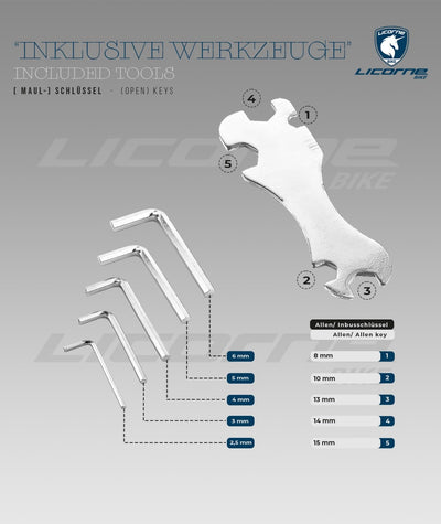 Licorne Bike Guide Premium 29 Zoll Mountainbike - Federgabel MTB mit Scheibenbremsen - Deutsche Markenqualität - Für Jugendliche & Erwachsene (Schwarz/Blau)