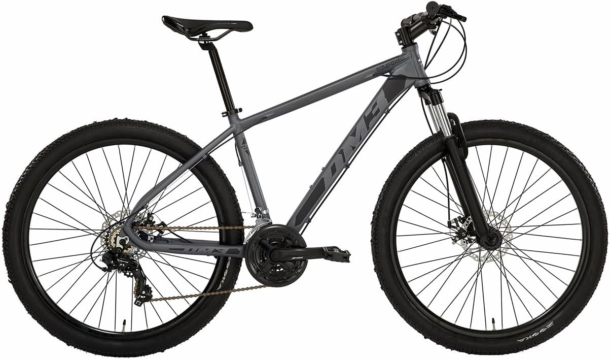 Alpina Bike Jungen Flipper Mountainbike, grau, 27.5