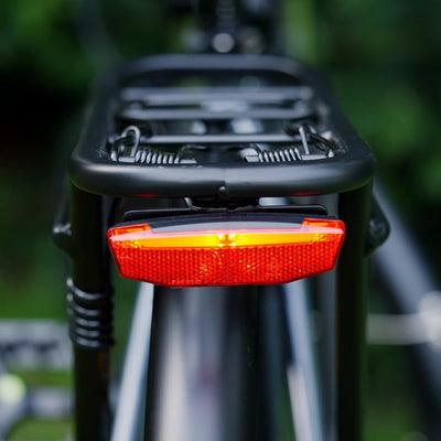 Molicycle R1 E Bike Damen 26 Zoll Elektrofahrräder Trekking/City Fahrrad mit 36V 14.5Ah Wechselakku, Reichweite bis zu 110Km, 250W Motor, EU-konformes Ebike mit App