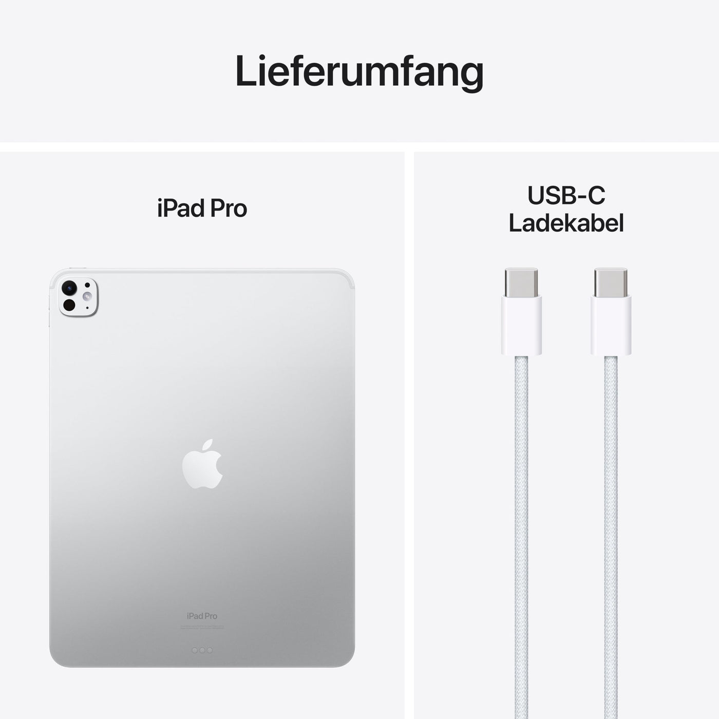 Apple 13" iPad Pro (M4): Ultra Retina XDR Display, 256 GB, 12 MP Querformat Frontkamera/12 MP Rückkamera, LiDAR Scanner, WLAN 6E, Face ID, Batterie für den ganzen Tag, Standardglas– Silber