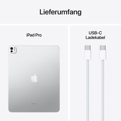 Apple 13" iPad Pro (M4): Ultra Retina XDR Display, 256 GB, 12 MP Querformat Frontkamera/12 MP Rückkamera, LiDAR Scanner, WLAN 6E, Face ID, Batterie für den ganzen Tag, Standardglas– Silber