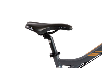 F.lli Schiano Braver, E Bike Mountainbike, 27.5 Zoll, 36V 11.6Ah Abnehmbarer Akku, Motor 250W 50Nm, MTB Ebike für Herren/Damen, Grau