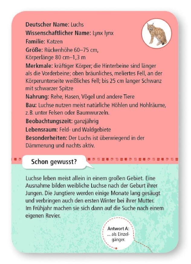 moses. Expedition Natur - 50 heimische Wald- und Wildtiere, Entdeckerkarten zur Bestimmung von Tierarten, Outdoor-Spielzeug für Kinder ab 6 Jahren