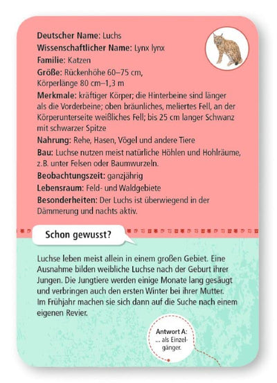 moses. Expedition Natur - 50 heimische Wald- und Wildtiere, Entdeckerkarten zur Bestimmung von Tierarten, Outdoor-Spielzeug für Kinder ab 6 Jahren