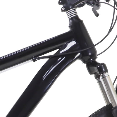 Shiyinge 26" 21-Gang Fahrrad Mountainbike MTB Siebenteiliges Positionierschwungrad Jungen MäDchen Erwachsene City Bike Bicycle Mit Lenker Geeignete Unisex Kohlenstoffstahl FahrräDer Leichtgewicht