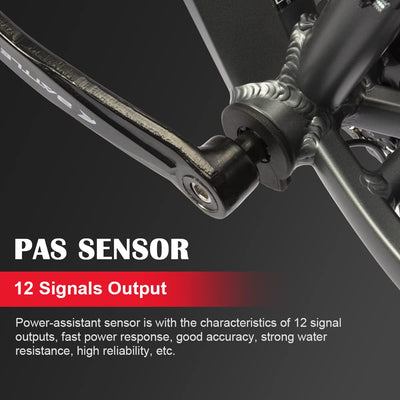 SEASON 20/24 / 26/28 / 700C Zoll Ebike Umbausatz 36V 250W Brushless Getriebe Vorderrad Nabenmotor, Elektrofahrrad Conversion Kit | LCD Display, Sensor (24'' 250W / 25km/h)