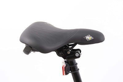 F.lli Schiano E-Boss, E Bike Klappbar 20 Zoll, 36V 10.4Ah Abnehmbarer Akku, Motor 250W 40Nm, Klapprad Ebike für Herren/Damen, Schwarz