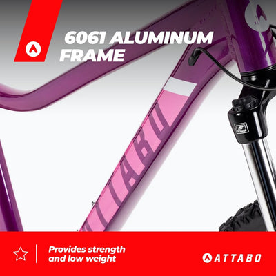 ATTABO Damen Fahrrad Alpe 3.0 mit Aluminiumrahmen 15" Ergonomischer Lenker Hydraulische Scheibenbremsen Lila Mountainbike mit 29" Rädern mit Zubehör Verstellbarer Sattel 24-Gang Schaltung