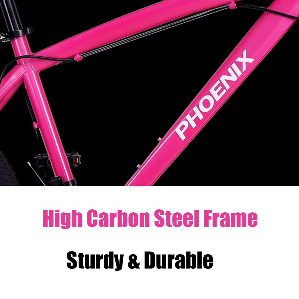 Wmmner Hardtail Mountain Trail Bike 24 Zoll Für Erwachsene Frauen, Mädchen Mountainbike Mit Vorderradaufhängung Und Mechanischen Scheibenbremsen, Rahmen Aus Kohlenstoffstahl Und Verstellbarem Sitz, We