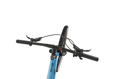 ICE MT10 Mountainbike, Rahmen aus Carbonfaser, 29 Zoll, 12 V, Farbe: Schwarz (19 Zoll)