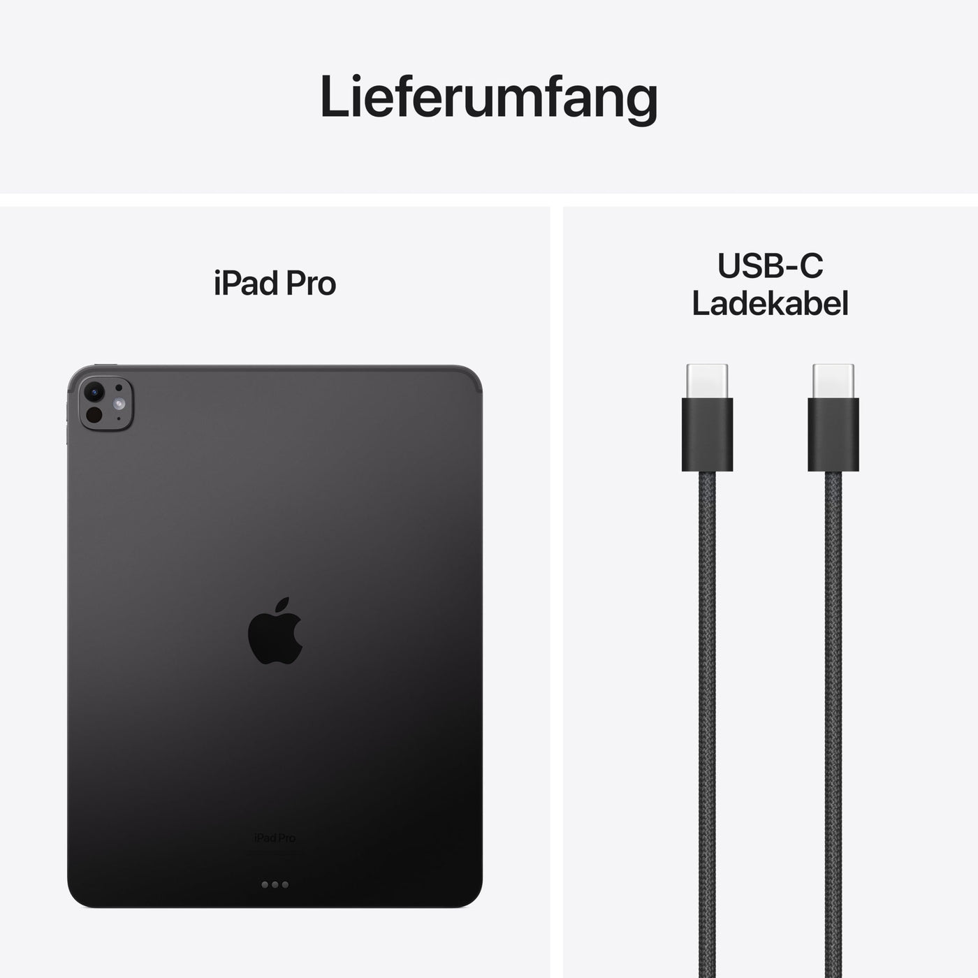 Apple 13" iPad Pro (M4): Ultra Retina XDR Display, 256 GB, 12 MP Querformat Frontkamera/12 MP Rückkamera, LiDAR Scanner, WLAN 6E, Face ID, Batterie für den ganzen Tag, Standardglas – Space Schwarz