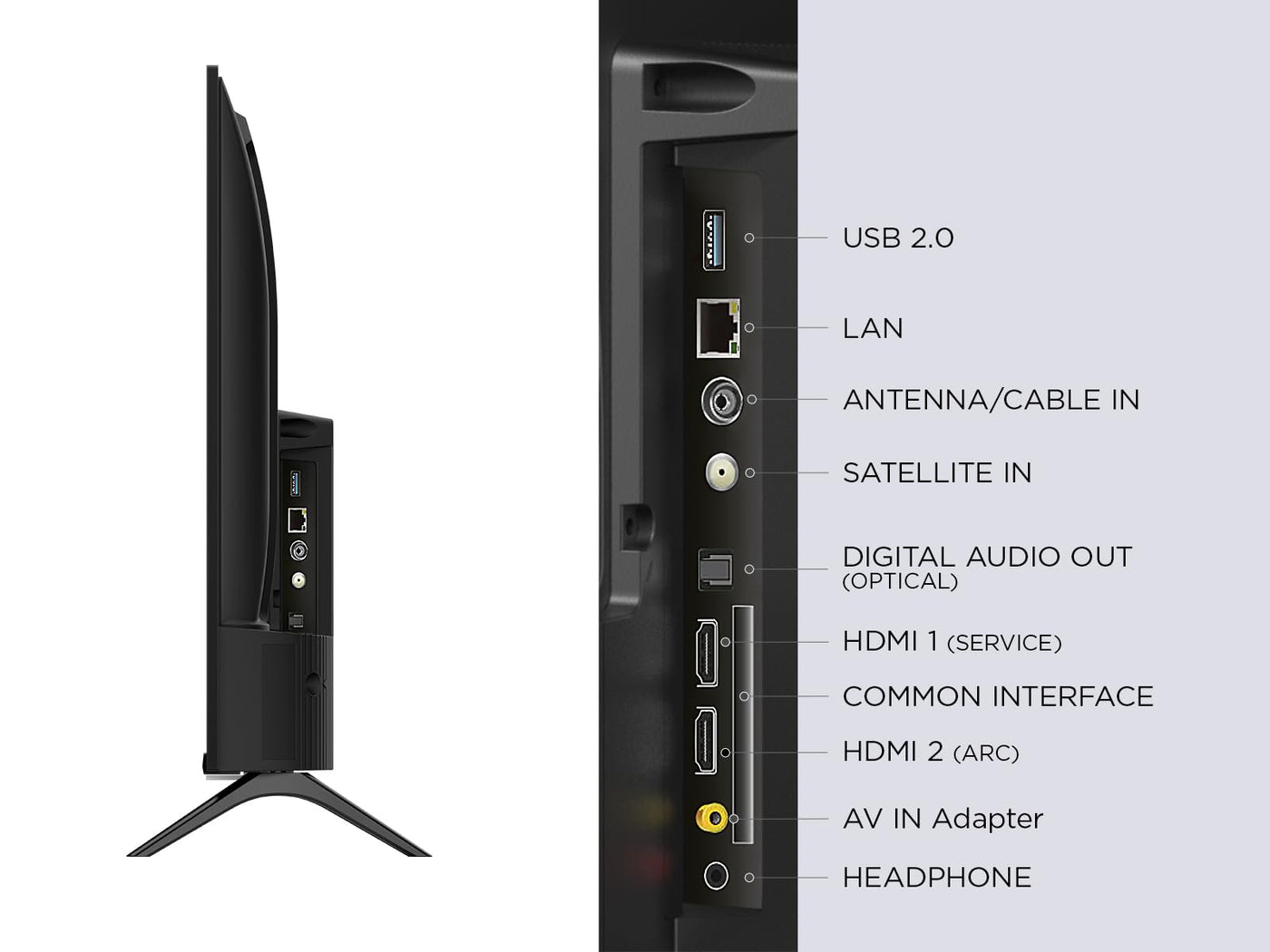 TCL 32L5A, 32 Zoll Fernseher, FHD, HDR smart TV unterstützt bei Android TV (Kindermodus, Dolby Audio, kompatibel mit Google Assistant)