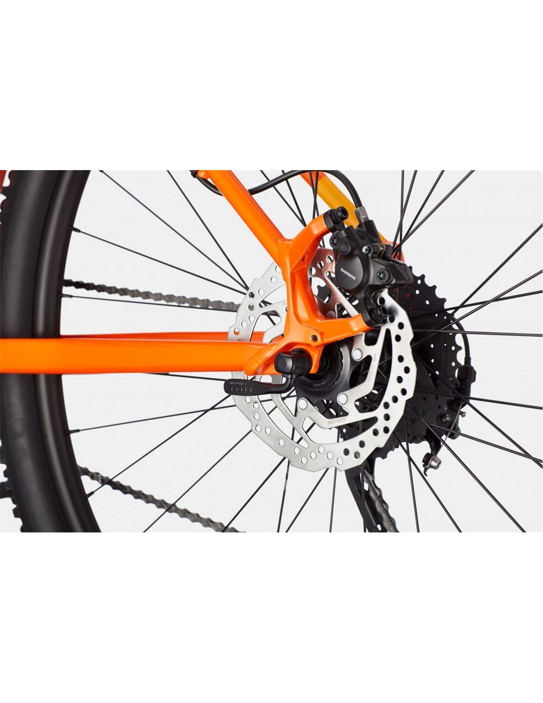 Cannondale Trail 6 29 Zoll - Impact Orange, Größe L