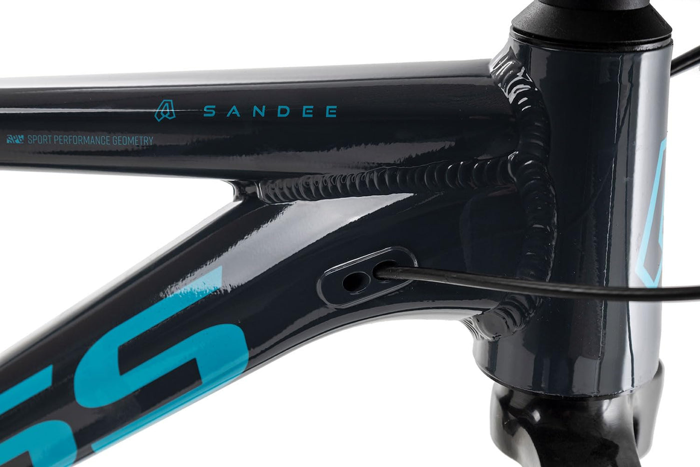 Axess Sandee Mountainbike | MTB-Hardtail | 14-Gang Schaltung | Mechanische Scheibenbremsen, Farbe:Grey, Rahmengröße:21 Zoll, Laufradgröße:29 Zoll