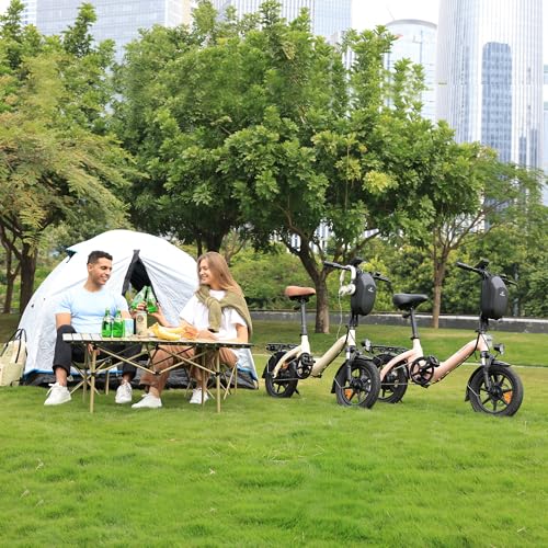 Bodywel T16PRO Mini E Bike 14 Zoll faltbar Elektrofahrrad 250W 36V/7.8Ah Akku mit APP Funk für Herren Damen,Reichweite Max 45 km (Schwarz+Rückpacktrager)