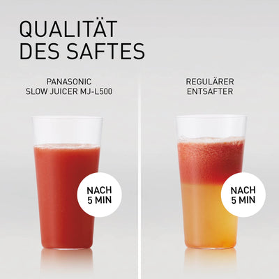 Panasonic MJ-L500S Slow Juicer / Entsafter / 2 Einsätze für Säfte & tiefgefrorene Zutaten / Frozen Joghurt / Silber