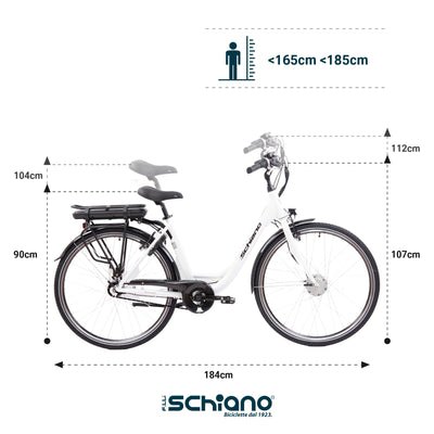 F.lli Schiano E-Moon 28 Zoll E-bike Pedelec , electric Fahrrad für Herren / Damen bis 25 km/h und mit guter Reichweite , Elektrofahrräder mit Gepäckträger , Damenfahrrad mit Motor Akku Nexus 7