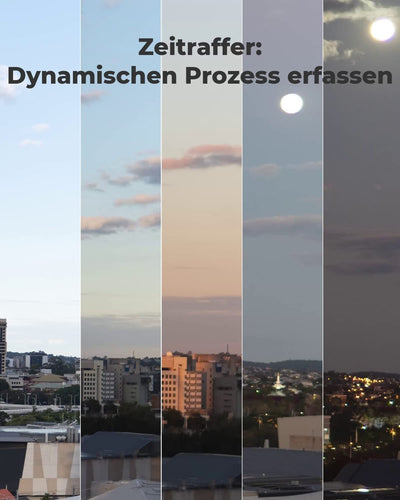 Reolink 4K Smarte PoE Überwachungskamera Aussen mit Personen-/Fahrzeug-/Tiererkennung, 8MP IP Kamera mit microSD Kartensteckplatz, Audio, IR Nachtsicht, Wasserfest, Zeitraffer, RLC-810A Schwarz