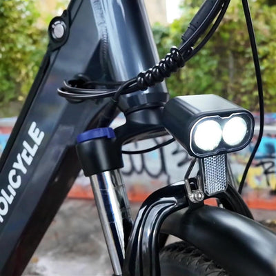 Molicycle R1 E Bike Damen 26 Zoll Elektrofahrräder Trekking/City Fahrrad mit 36V 14.5Ah Wechselakku, Reichweite bis zu 110Km, 250W Motor, EU-konformes Ebike mit App