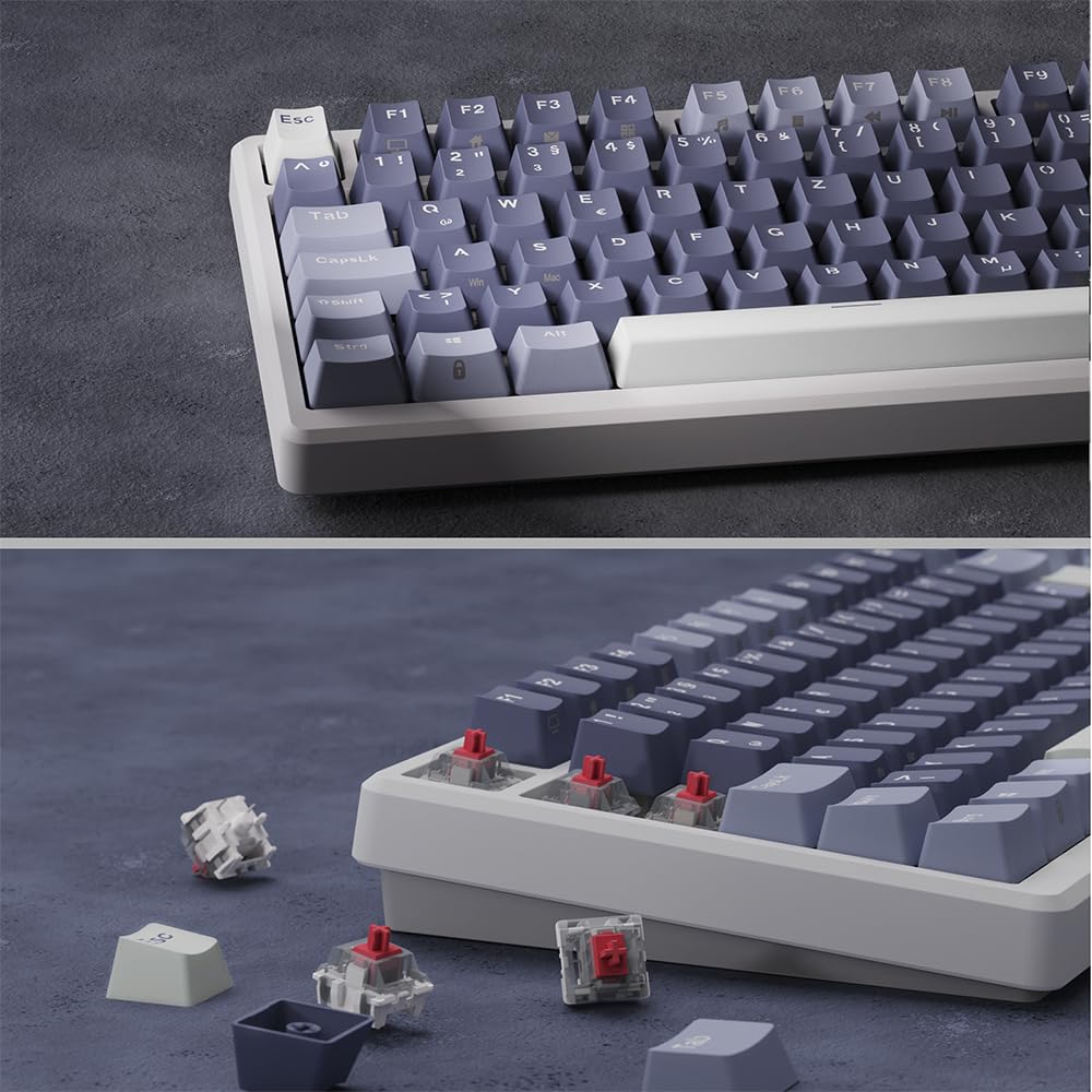 RK ROYAL KLUDGE M75 Gaming Tastatur kabellos 75% TKL Mechanische Tastatur RGB 2,4 GHz Wireless/Bluetooth/USB-C QWERTZ mit OLED-Smart-Display und Knopf Hot Swappable Roter Schalter, Lavendelviolett