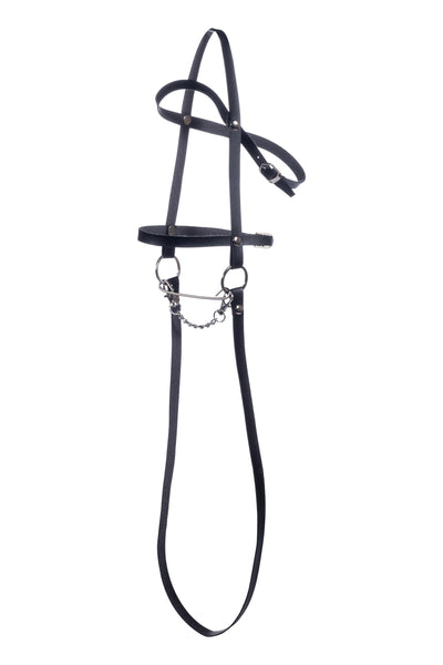 HKM Kids Hobby Horse, Apfelschimmel, Grau, mit Halfter und Führstrick in Blau, Steckenpferd für Kinder, Pferde Spielzeug