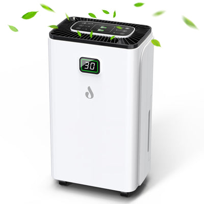 Luftentfeuchter 12L/Tag mit Digitaler Feuchtigkeitsanzeige, Automatische Entfeuchtung, 24H-Timer, Kontinuierliche Entwässerung, 2,5L Wassertank, Abflussschlauch, Ideal für Keller, Gegen Feuchtigkeit