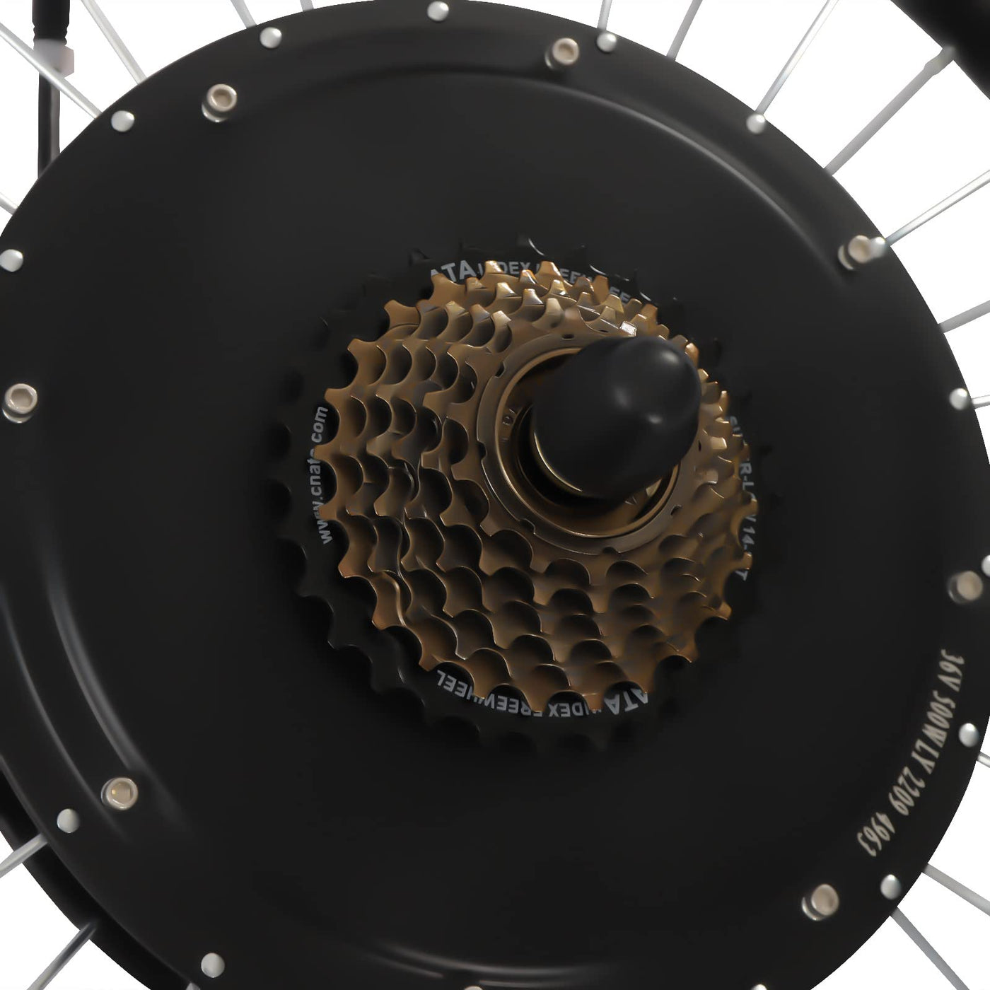 FortyFor 20" E-Bike Umbausatz mit LCD Display, 500W Wasserdicht Ebike Umbausatz Elektro Fahrrad Nabenmotor Kit für Hinterrad