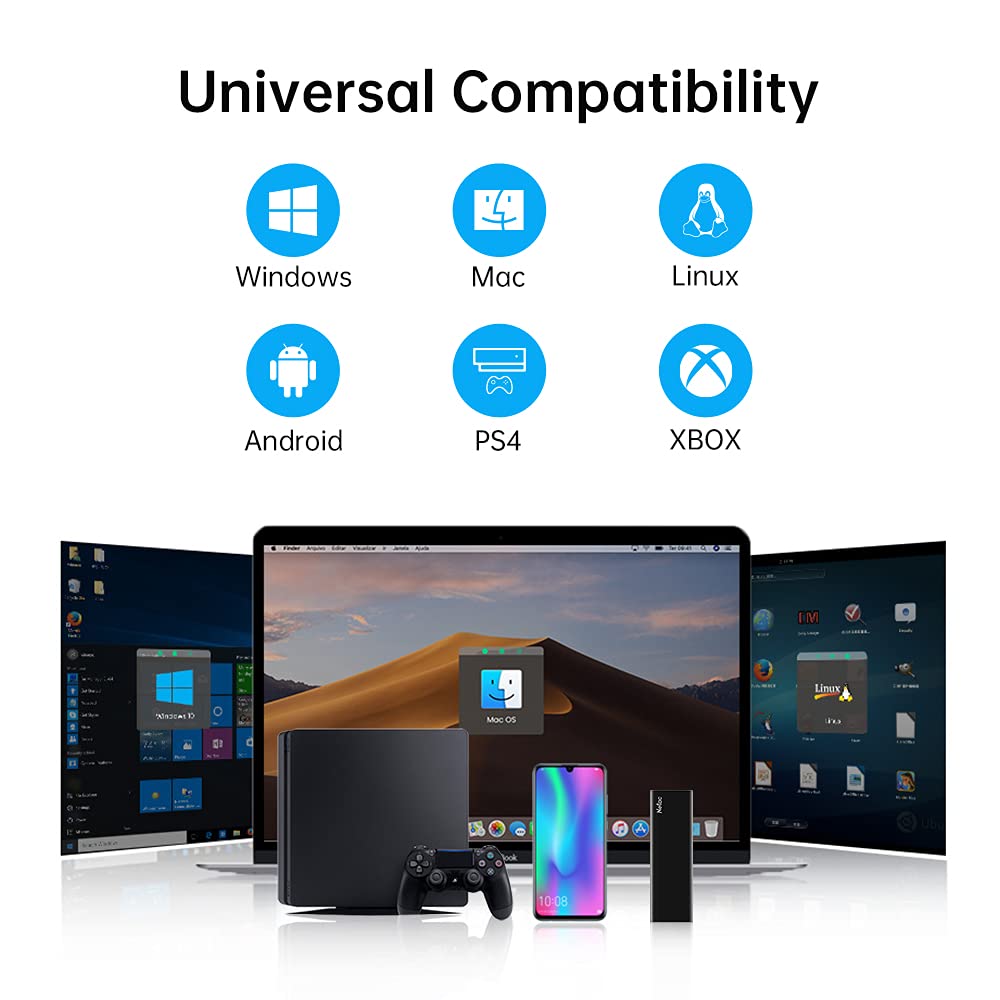 Netac SSD Extern 500GB USB 3.2 Gen 2, Externe Festplatte SSD für Laptop, TV Aufnahmen, Mac, PS4, PS5, Xbox, Handy Android, Festkörper-Laufwerk (USB C Aluminum)