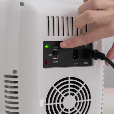 Flamingueo Mini Kühlschrank - Kühlschrank Klein 4L, 12V/220V, Mini Fridge, Skincare, Funktion Kühlen und Heizen, Tischkühlschrank, Kosmetik Kühlschrank