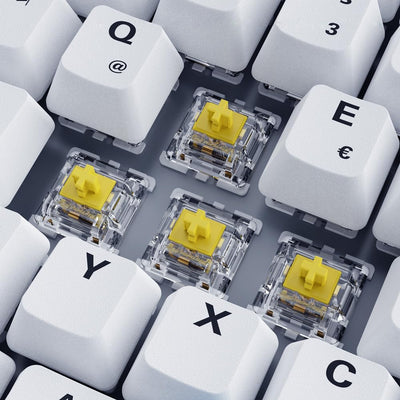 Sharkoon Skiller SGK50 S3 PBT Weiß, RGB Gaming Keyboard, Gateron G PRO 3.0 Yellow, 75% Layout