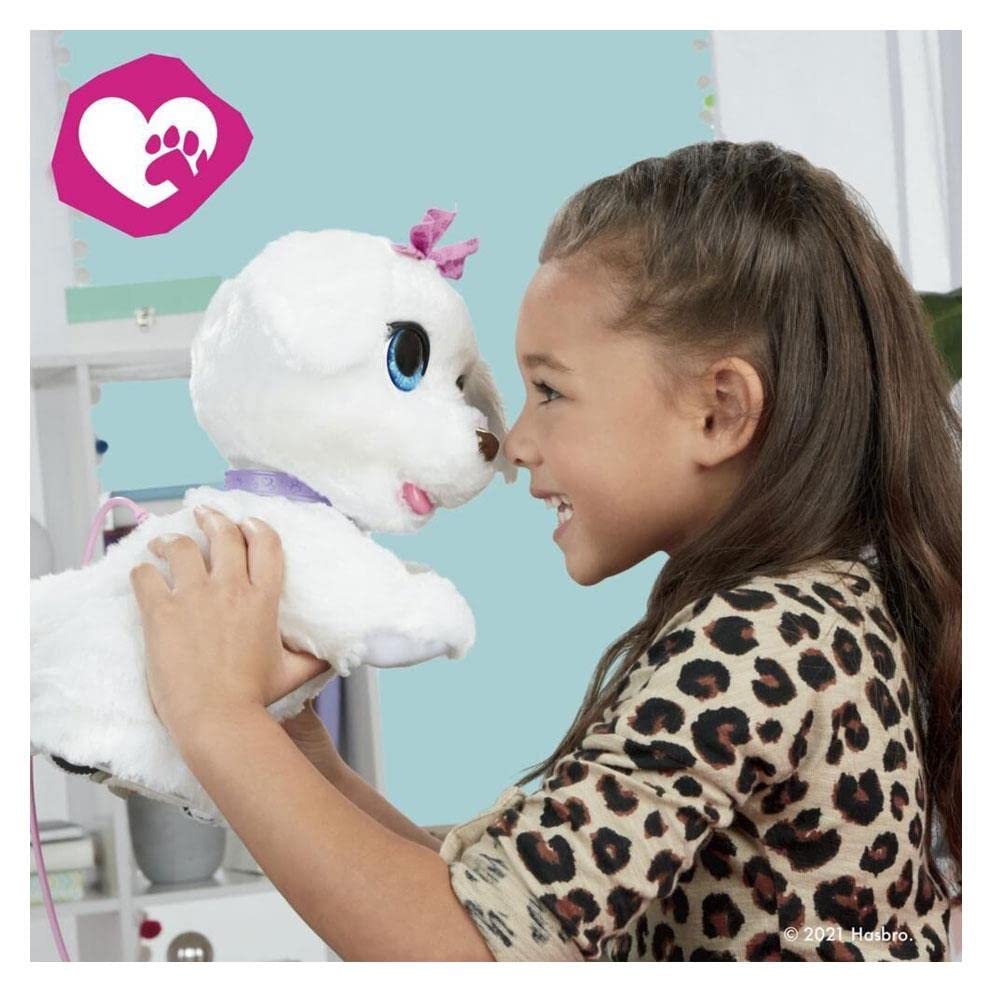FurReal Hasbro GoGo, Mein tanzendes Hündchen, interaktives, elektronisches Tierchen, 50+ Geräusche und Reaktionen, ab 4 Jahren