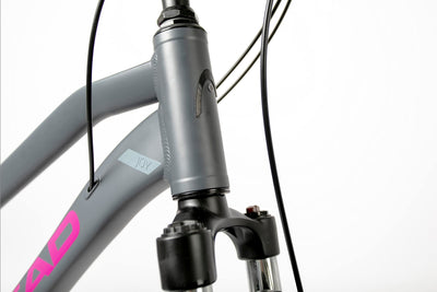 HEAD Damen I-Peak I Crossbike, Grau matt/pink, 54 cm